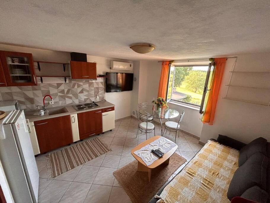 App Franci Parenzana Apartment Marusici  ภายนอก รูปภาพ